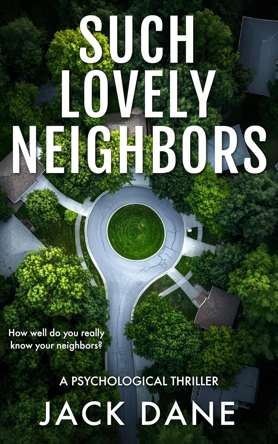 Book cover for Such Lovely Neighbors by Jack Dane