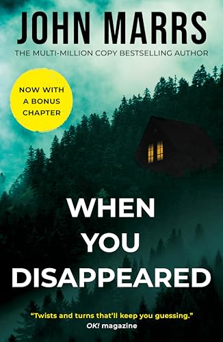 Cover of When You Disappeared