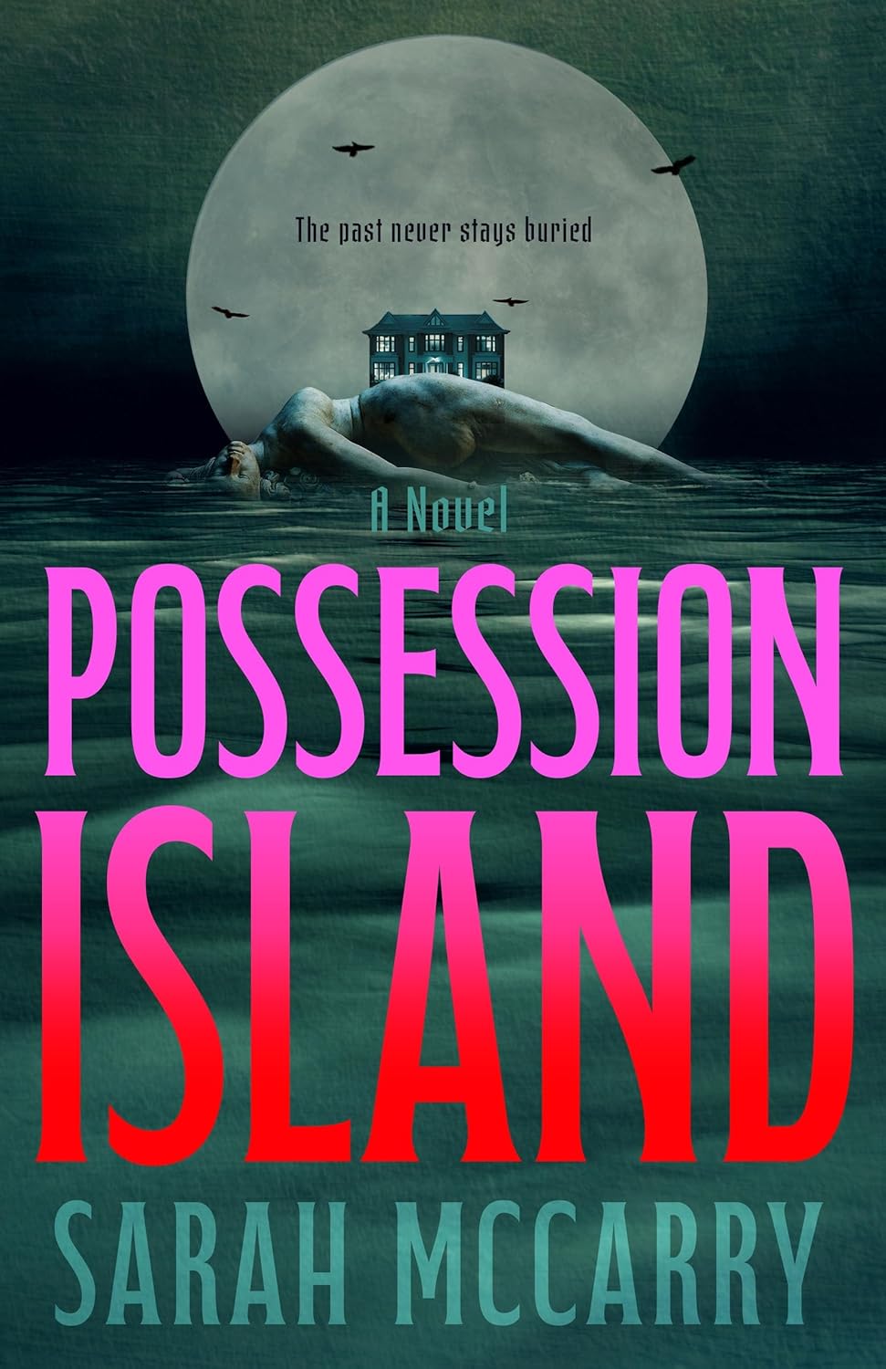 Cover of Possession Island