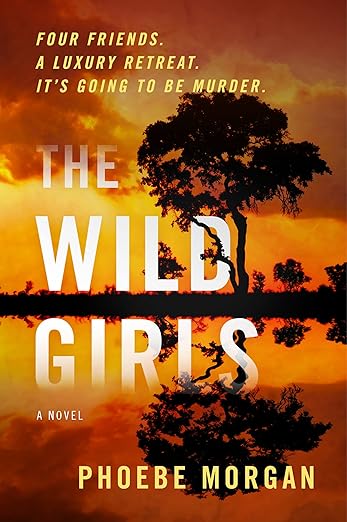 Book cover for The Wild Girls by Phoebe Morgan