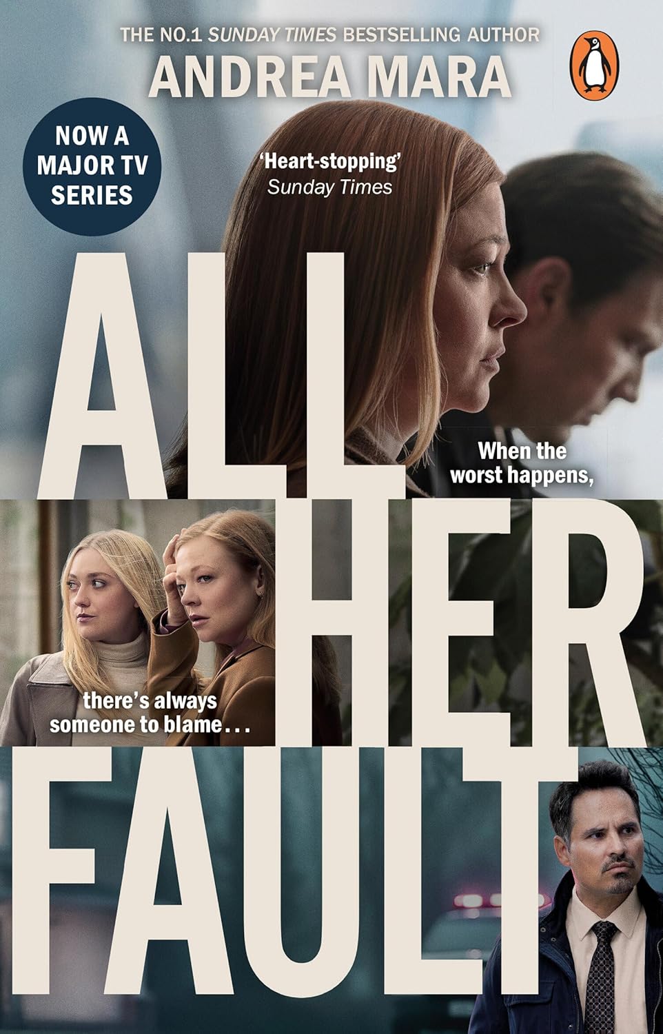 Book cover for All her fault by Andrea Mara