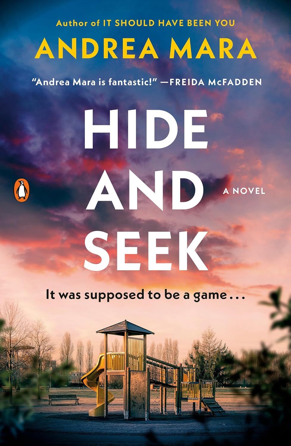 Book cover for Hide and Seek by Andrea Mara