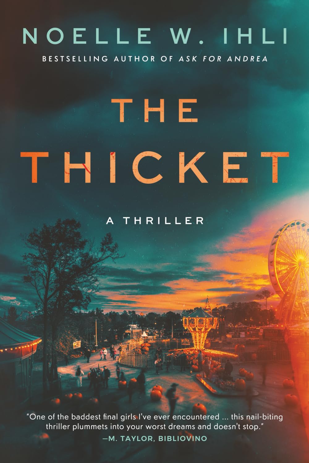 Book cover for The Thicket by Noelle W. Ihli