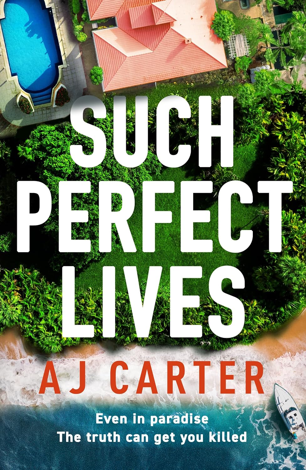 Cover for Such Perfect Lives